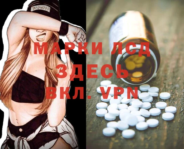 ешки Бородино
