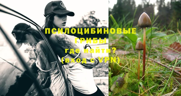 ешки Бородино