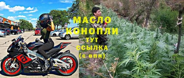ешки Бородино