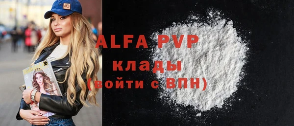 ешки Бородино