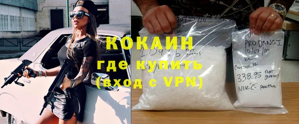 ешки Бородино