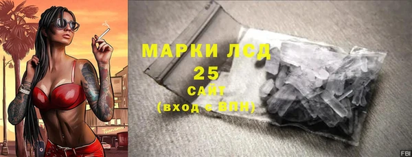 ешки Бородино